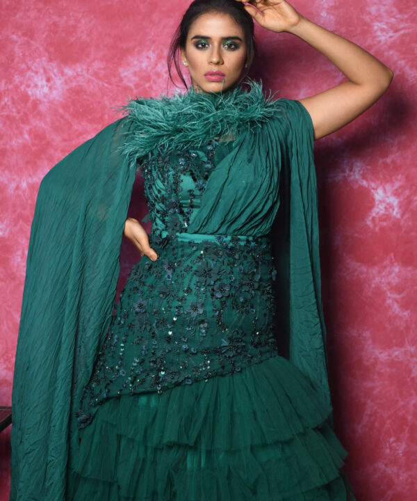 Jazzy Gown with Polo Feathers